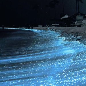 自由成熟XXXX色视频
